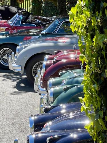 Panoramahotel Steirerland - image 11