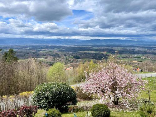 Panoramahotel Steirerland - image 14