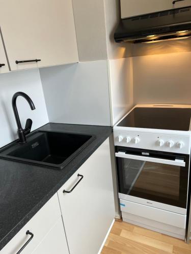 Kitchen, Kemiapartments CITY IV, near snowcastle, premium studio, FREE park with heat plug in Kemi