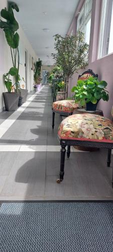Hotel Belp Bern Airport Free Parking 4