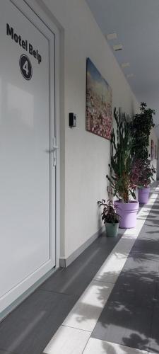 Motel Belp - image 14