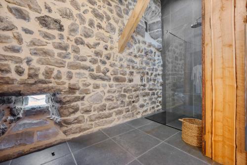 Château de Saint Vidal (Chateau de Saint Vidal) in 沙斯皮扎克