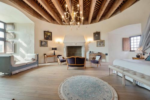 Château de Saint Vidal (Chateau de Saint Vidal) in 沙斯皮扎克