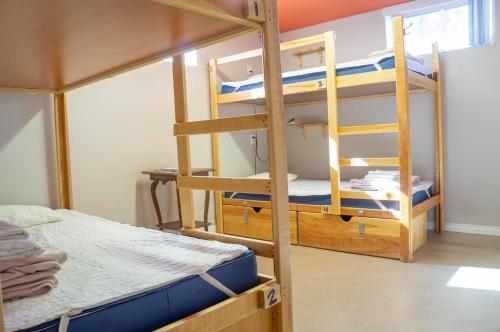 Bed in 4-Bed Mixed Dormitory Room