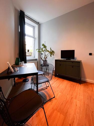 Instalaciones, Studios am Hafen in Stralsund