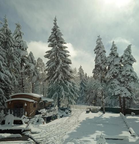 Chalet coccinelle Domaine de la Mamounette