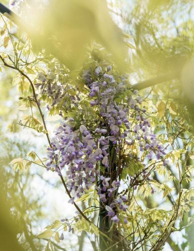 St Paul's Hotel - image 5