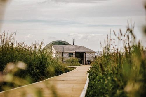 Dome 2 At Tapnell Farm