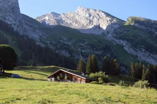 Le vieux madrier - Chalet - La Clusaz