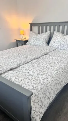 Lärche Nr 3 in Munster im Heidekreis, Deutschland
