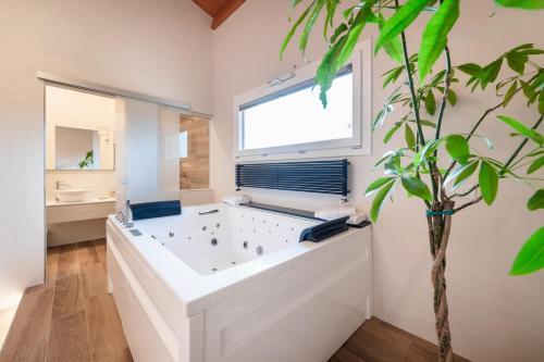 Agriturismo Acquachiara in Sabaudia