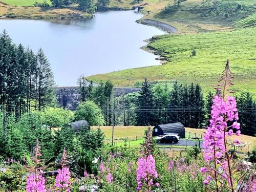 Forester's Retreat Glamping - Dinas View Forester's Retreat Glamping - Dinas View