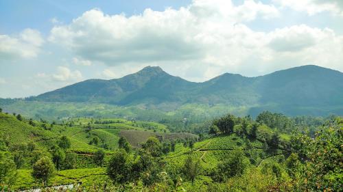 Munnar Valley View Annex