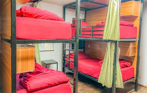 Bed in 8-Bed Mixed Dormitory Room with En suite Bathroom 