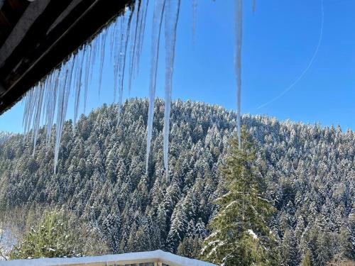 Holiday home in the Black Forest with sauna