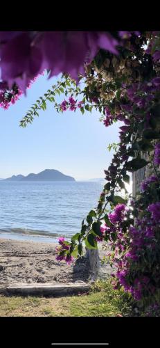 Villa Di Mare Bodrum in Bodrum