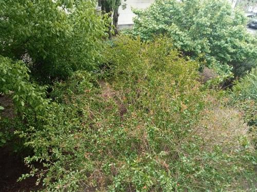 Appartement Montpellier Sud 3 pieces in Saint Martin