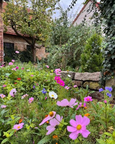 Gîte de charme à la campagne, proche de Strasbourg