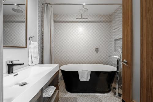 Pug Seal Polanco Allan Poe Pug Seal Polanco Allan Poe