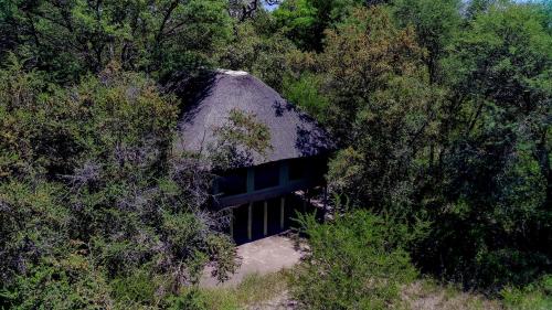 Hyenas Howl Cabins & Campground in Muchenje