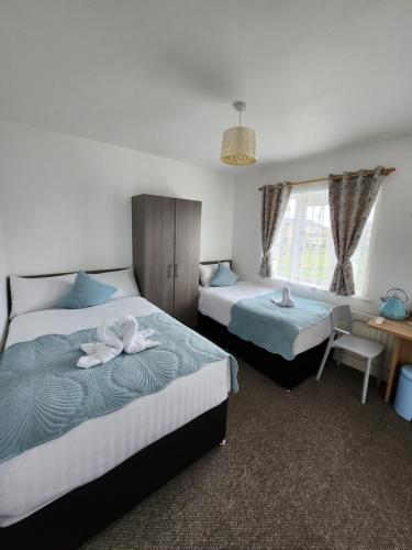 Cozy Room,Private Bathroom,Private Kitchynete, Dublín (foto 10)