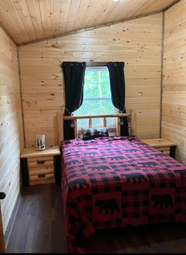 A Bears Heaven in Robbinsville, USA
