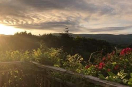 Stunning views of Ynyshir & Southern Snowdonia