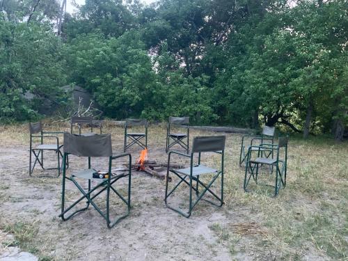Hyenas howl campsite in Muchenje