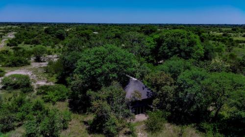 Hyenas howl campsite in Muchenje