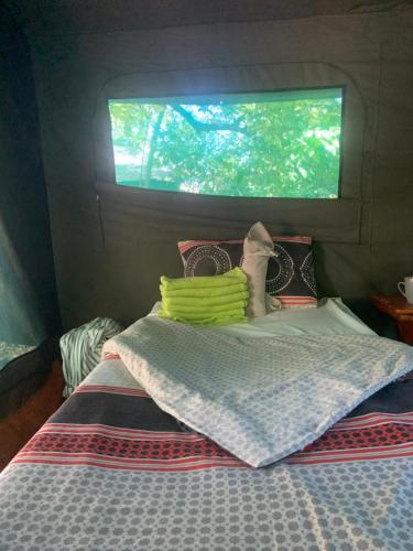Hyenas howl campsite in Muchenje