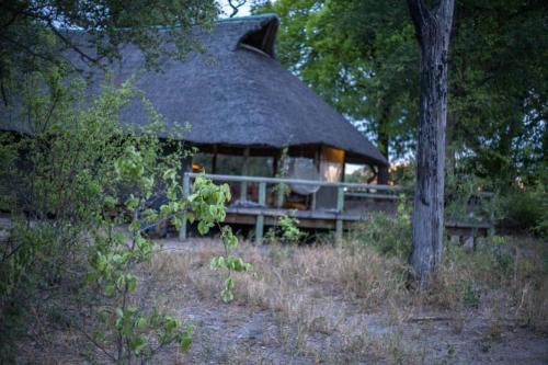 Hyenas howl campsite in Muchenje