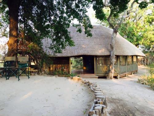 Hyenas howl campsite in Muchenje