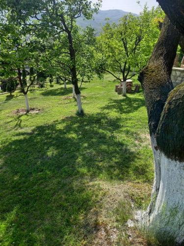 Guest house Ijevan's Garden