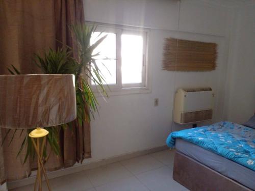 عباس العقاد مدينه نصر