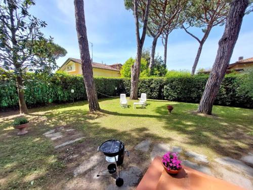  Ai Cerri in Cinquale