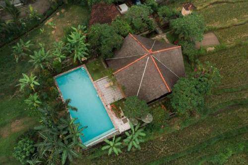 Villa Dandan Bukit