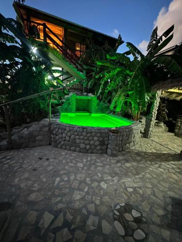 View, Orchid Resort Dominica in Portsmouth