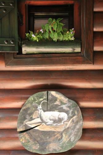 Durmitor Chalet - image 6