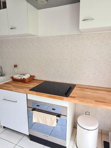 Gîte de 70m² avec vue sur le massif du Pilat (Gite de 70m² avec vue sur le massif du Pilat) in Clonas-sur-Vareze (Rhone-Alpes)