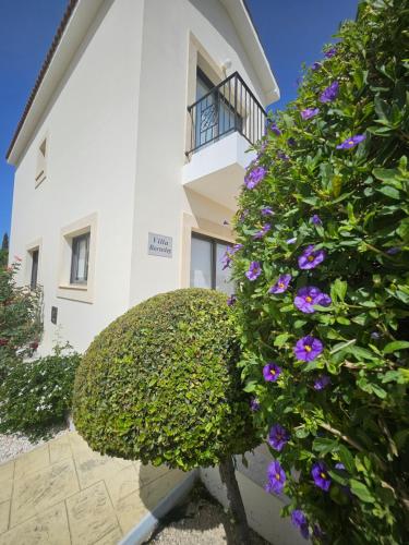 外部景觀, Modern 3 bedroom villa, pool and close to golf course in 庫克利亞市中心