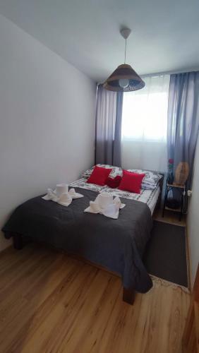 Apartament w centrum-Retrospekcja, Zakopane (fotografie 9)