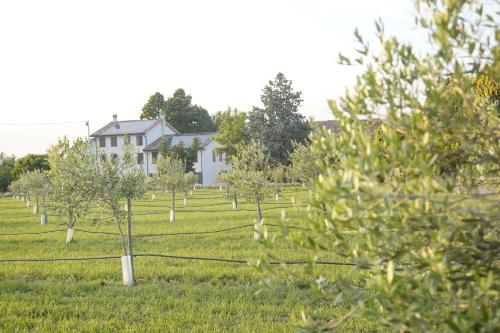 Casa di Alba - Alloggi turistici, Vigolzone