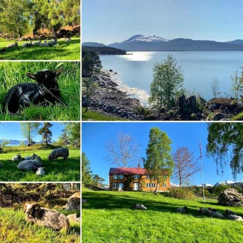 Draget gård Draget gård