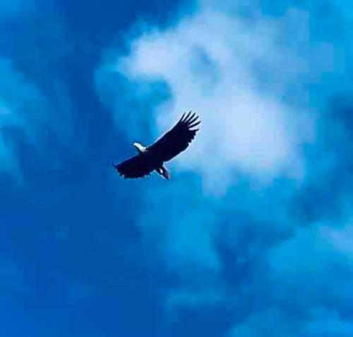 Draget gård Draget gård