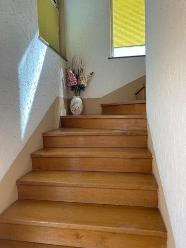 外部景觀, Guesthouse Vionica in 契特盧克