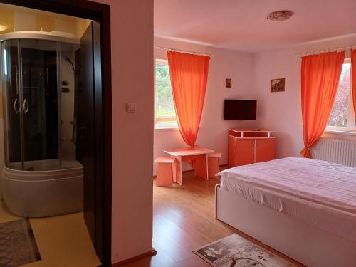 Pensiunea Andy Moieciu in 布兰