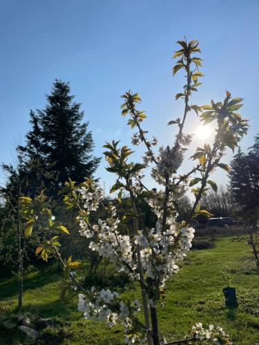 Eichenhof Hotel Garni