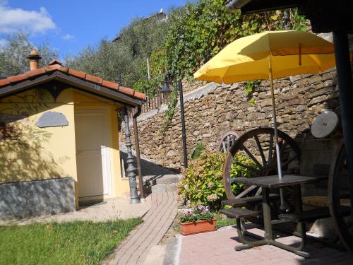 Lo Scoiattolo - image 11