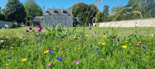 Chambres d'Hôtes Château de Martragny - Chambre d'hôtes - Moulins-en-Bessin