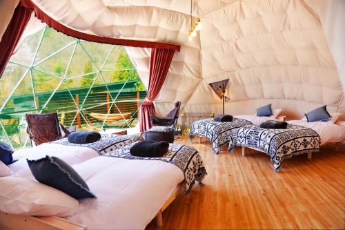 WORKATIONRESORT THE FOREST in Curu